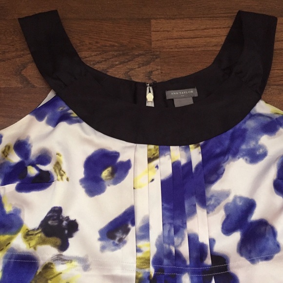 Ann Taylor blouse, sleeveless, pleated front - Picture 3 of 6